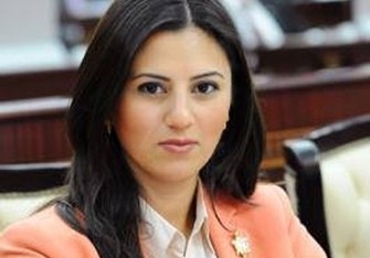 Milli Məclisin deputatı AŞ PA-da baş məruzəçi seçildi