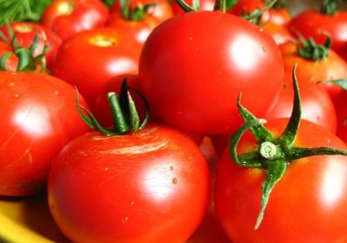 Azərbaycan Rusiyaya pomidor ixracını kəskin artırıb