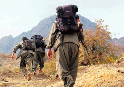 Türkiyədə 94 PKK terrorçusu məhv edilib