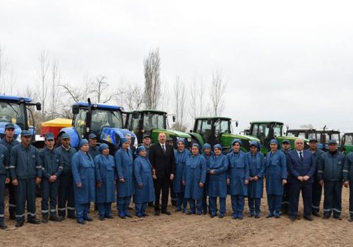 Prezident İlham Əliyev Saatlıda pambıq sahəsi ilə tanış olub - Fotolar