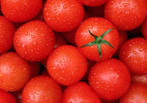 DGK Rusiyaya pomidor aparılmasında problem yarandığı barədə məlumatlara münasibət bildirib