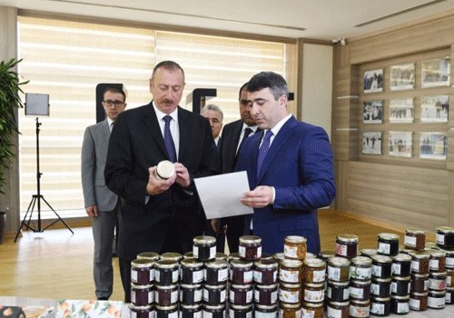 Prezident Balakəndə “ABAD Mərkəz”in açılışında iştirak edib - Fotolar