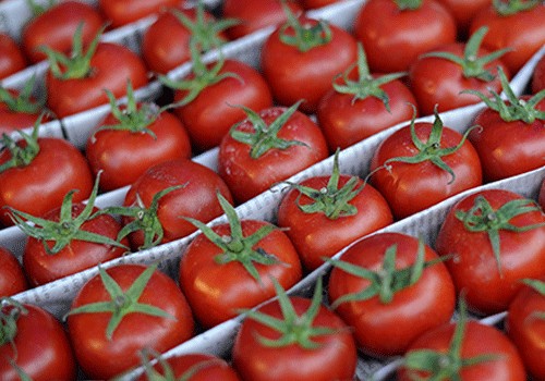 Nazir: Türkiyədən pomidor almayacağıq