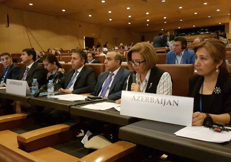 Bahar Muradova: Azərbaycana qarşı səsləndirilən iddialara bizim konkret cavablarımız var