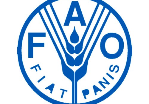 FAO: Azərbaycanın meşə ehtiyatları inventarlaşdırılacaq - Sonuncu dəfə bu proses SSRİ dövründə keçirilib
