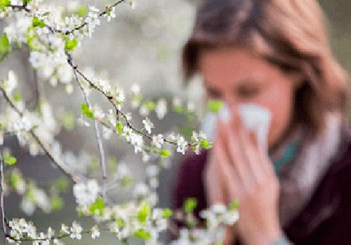 Yaz allergiyası əsasən ağacların tozlanması nəticəsində əmələ gəlir