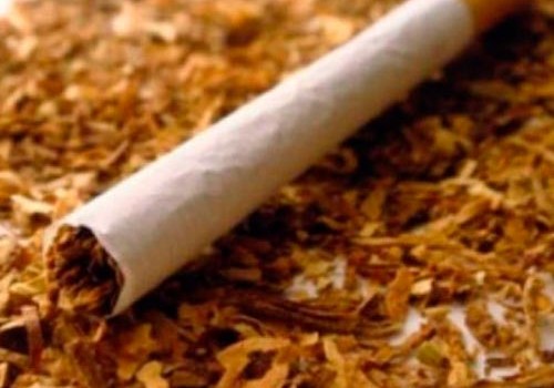 Tütün məmulatlarının istehsalı artıb