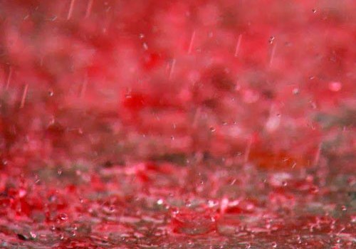 Rusiyada “qırmızı yağış” yağdı