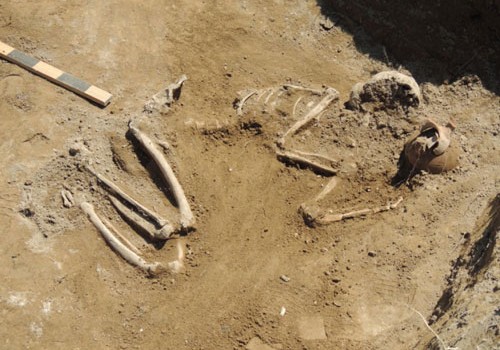 Palıdlı nekropolunda dəfn olunmuş insanların yaşayış məskənlərinin yeri dəqiqləşdirilib