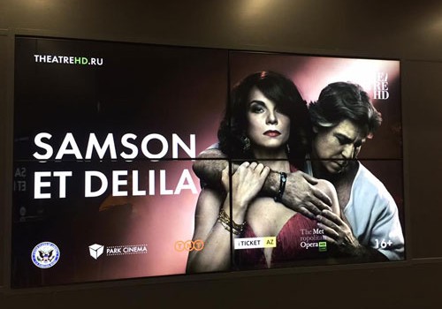 «Samson və Delila» operası ekranda nümayiş olundu