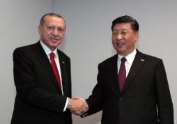 Türkiyə Prezidenti Çin lideri ilə görüşüb