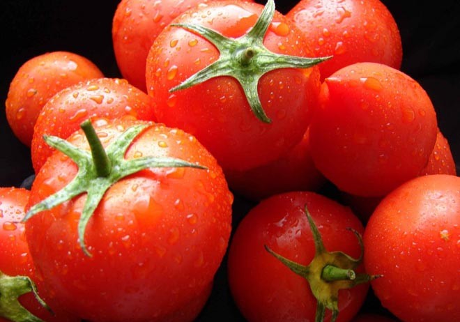 Azərbaycan pomidor ixracını artırıb