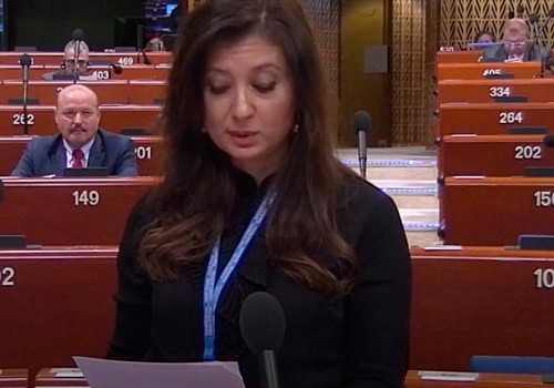 Deputat AŞPA-da gender bərabərliyinin vacibliyindən danışıb