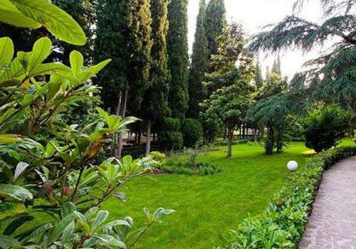Yaşıllıqların uçotunun aparılması qaydası dəyişib
