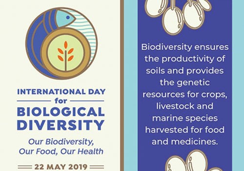 22 may - Beynəlxalq Biomüxtəliflik Günüdür
