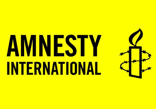 “Amnesty İnternational”ın şəffaflıq və demokratiyadan danışmağa haqqı yoxdur