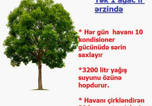 Təbiəti qorumaqla özümüzü qorumuş sayılırıq