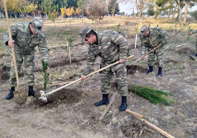 Azərbaycan Ordusunda ağacəkmə aksiyası davam edir