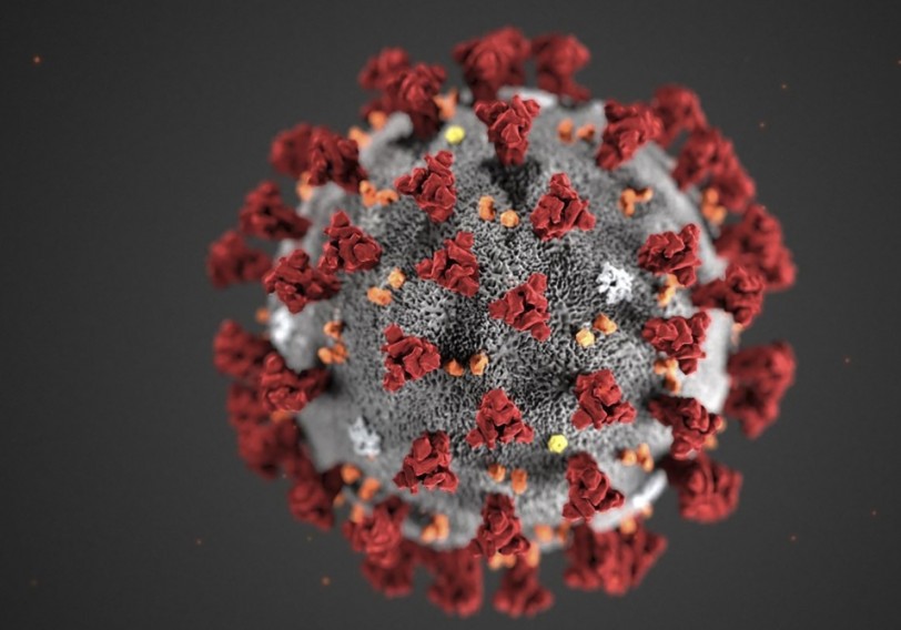 Dünya Səhiyyə Təşkilatı COVID-19 koronavirusuna yeni yoluxma formasından narahatdır