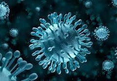 Amerikalı alimlər: Koronavirus çox ləng mutasiyaya uğrayır