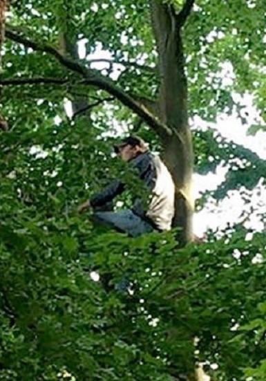 Futbol sevgisi adamı 12 metrlik ağaca çıxardırmış