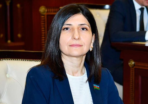 Deputat Sevil Mikayılova Türkiyənin “Ekotürk” telekanalına müsahibə verib