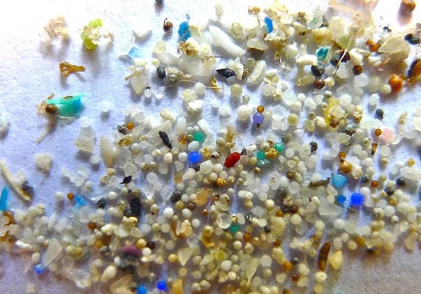 Mikroplastik hissəciklərə bütün şirin su çöküntülərində rast gəlinir
