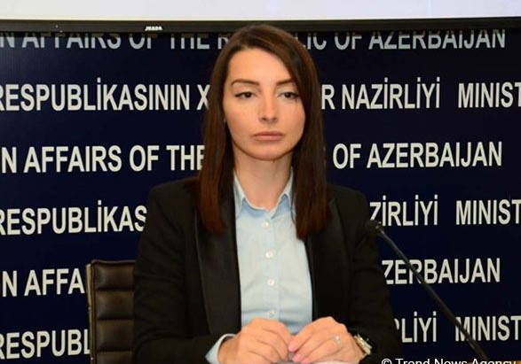 Azərbaycan Ordusunun öz ərazi bütövlüyü təmin etmək üçün heç bir kənar qüvvəyə ehtiyacı yoxdur - Leyla Abdullayeva