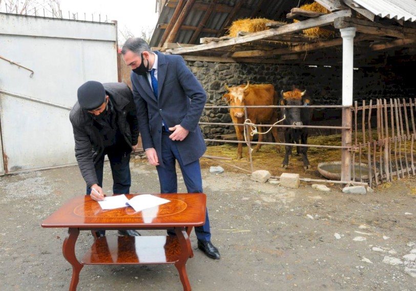 Oğuz və Qəbələdə də şəhid ailələri və qazilər üçün təsərrüfatlar yaradıldı (FOTO)