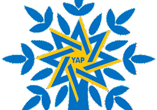 Yurddaş Partiyası YAP-a birləşmək üçün müraciət edib
