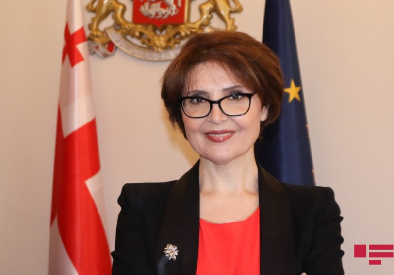 Gürcüstan parlamentinin komitə sədri: “Heç kim Azərbaycanla mükəmməl əlaqələrimizi poza bilməz”