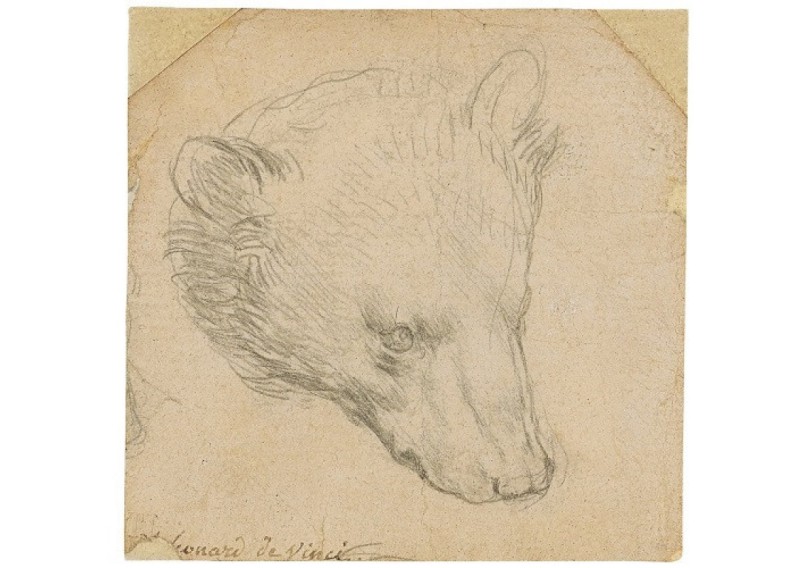Leonardo da Vinçinin çəkdiyi "Ayı başı" eskizi 12,2 mln. dollara satılıb