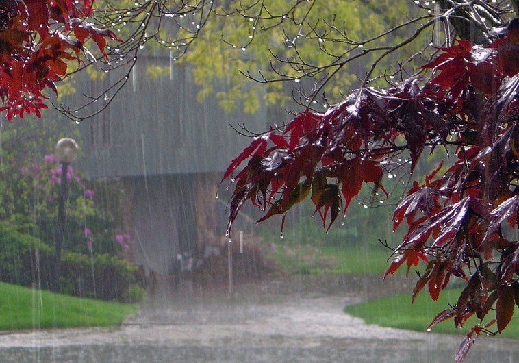 Lənkəran-Astara zonasına güclü yağış yağıb - Faktiki hava