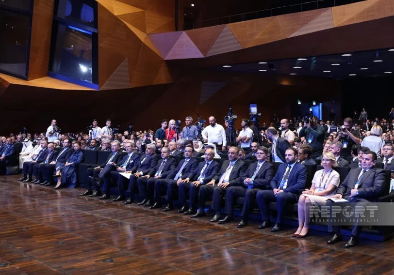 Uzunmüddətli tərəfdaşlıqlardan investisiyalara