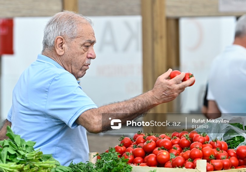 Pomidor və xiyarı bahalaşdıran səbəb 