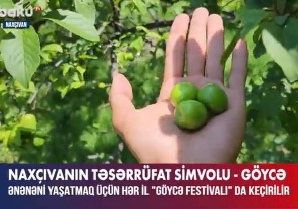 Naxçıvan göycəsi haqqında bilmədiklərimiz - VİDEO