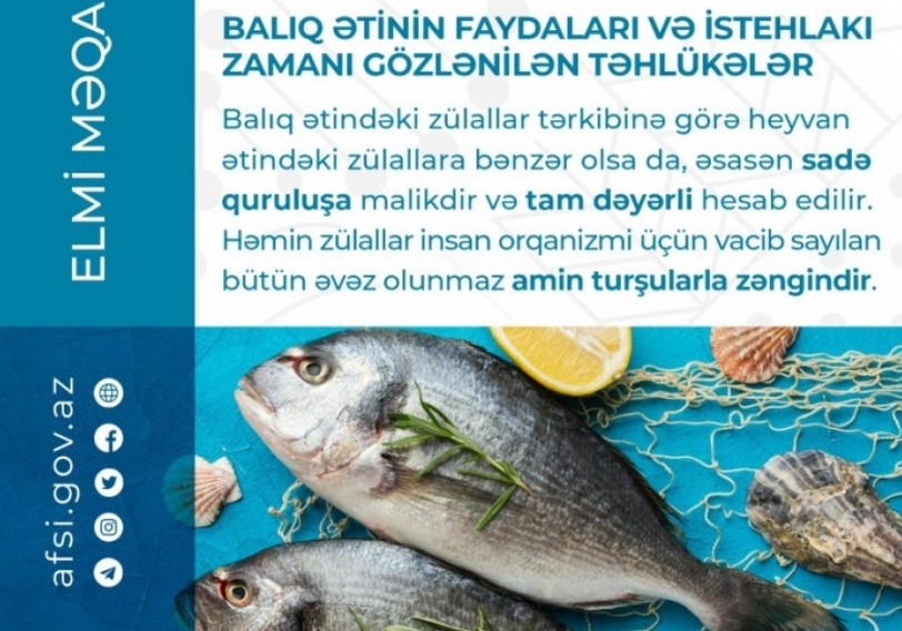 Balıq ətinin faydaları və istehlakı zamanı gözlənilən təhlükələr