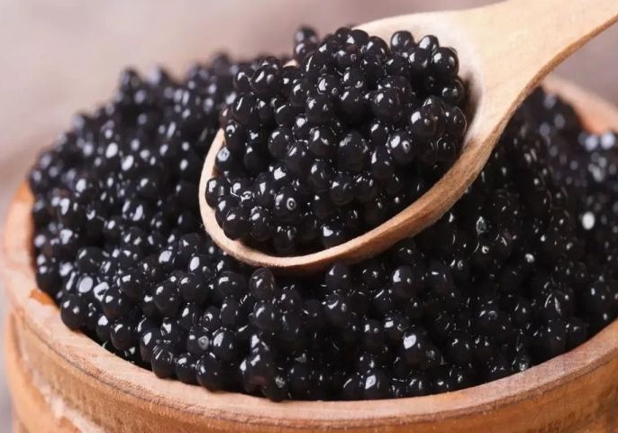 Kürü istehsalında rekord artım