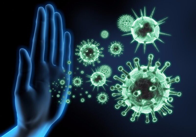 Ölkədə yayılan virus təhlükəlidirmi?