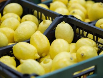 Limon bazarının turş reallığı