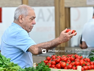 Pomidor və xiyarı bahalaşdıran səbəb 