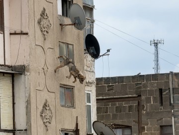 Eyvandan yerə, qanundan boşluğa