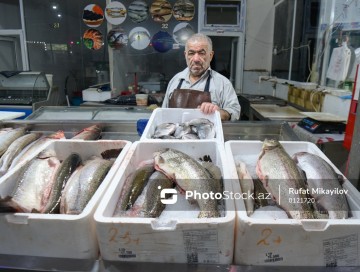 Balıq bazarında "təmizləmə" əməliyyatı