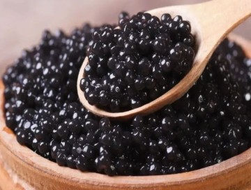 Kürü istehsalında rekord artım